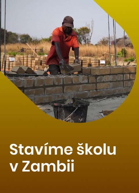 COVER Zambie